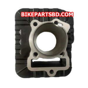 Pulsar NS160 Cylinder Kit