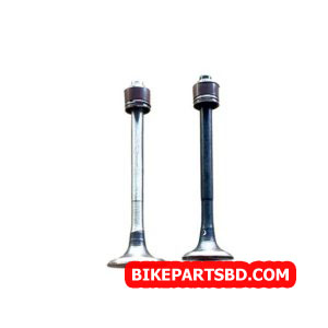 Engine Valve Set for TVS Apache RTR 160 | 2 Valves with seal