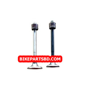 Engine Valve Set for Bajaj Pulsar 150 DTSi | Discover 125 | 135 | 150 (Digital Meter Model) | 2 Valves with seal