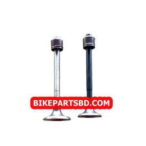 Engine Valve Set for Bajaj Discover 125 New Model | 2 Valves with seal