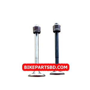 Engine Valve Set for Hero CD 100 | CD 100 SS | Passion | Plus | Pro | Splendor | Plus | Sleek | CD Deluxe | Splendor NXG | 2 Valves with seal