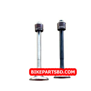 Engine Valve Set for Hero Splendor iSmart 110 | 2 Valves with seal