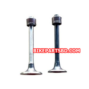 Engine Valve Set for Bajaj Caliber | CT 100 | Platina | Discover 112 | 2 Valves with seal