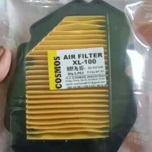 TVS Radeon Air Filter/Cleaner